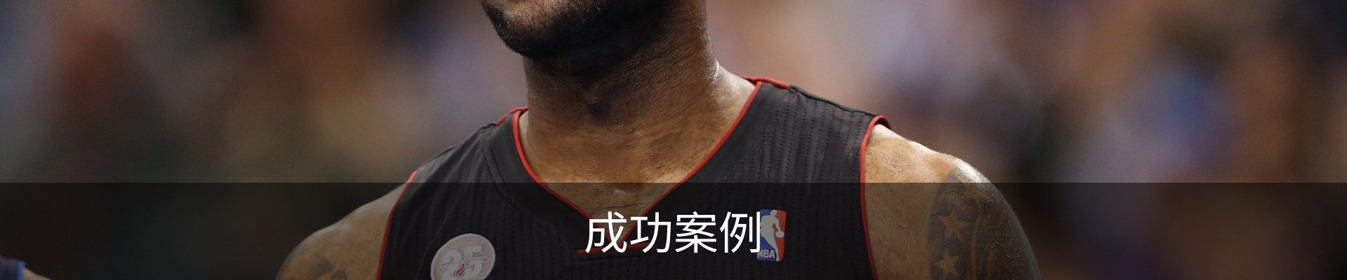 成功案例